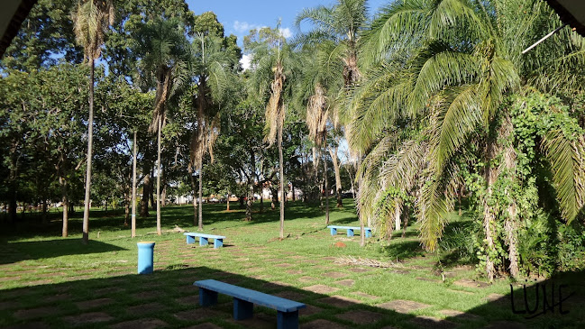 Universidade Federal de Goiás Rodovia Goiânia-Nova Veneza, Km 0 s/n Campus - Samambaia, Goiânia - GO, 74690-900, Brasil