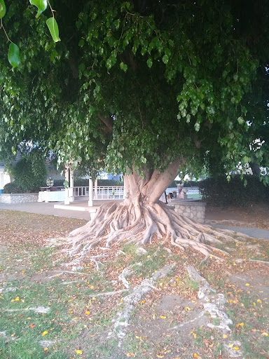 Museum «Heritage Museum of Orange County», reviews and photos, 3101 W Harvard St, Santa Ana, CA 92704, USA