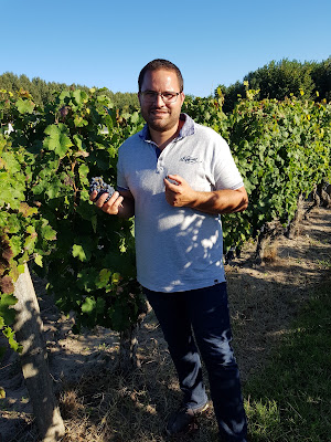 Houx Joël à Restigné