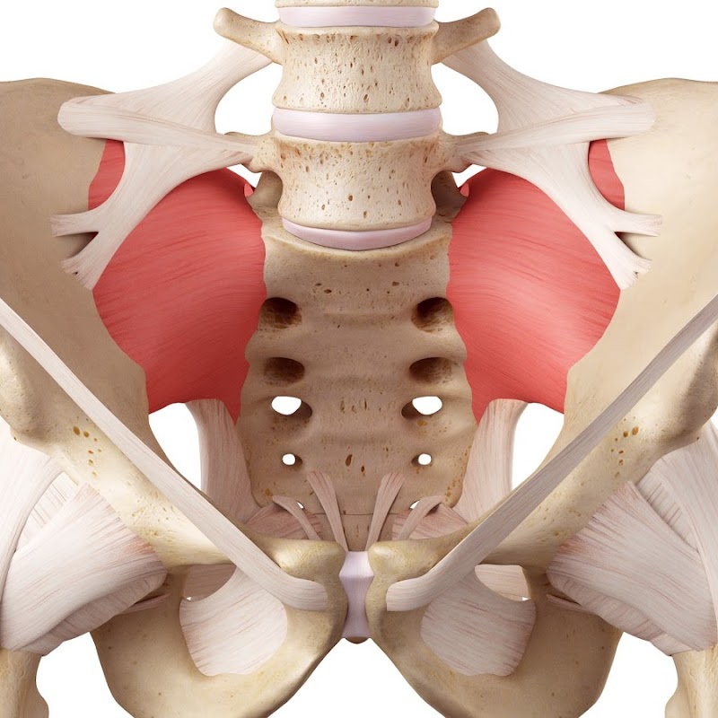 Dr. Sigg - Iliosakralgelenk, Piriformis, Ischias