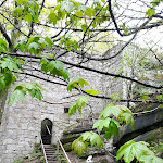 Photo n°1 de l'avis de Susanne.e fait le 12/05/2019 à 15:45 sur le  Gaststätte Waldsteinhaus Christine und Ramona Mulzer à Zell