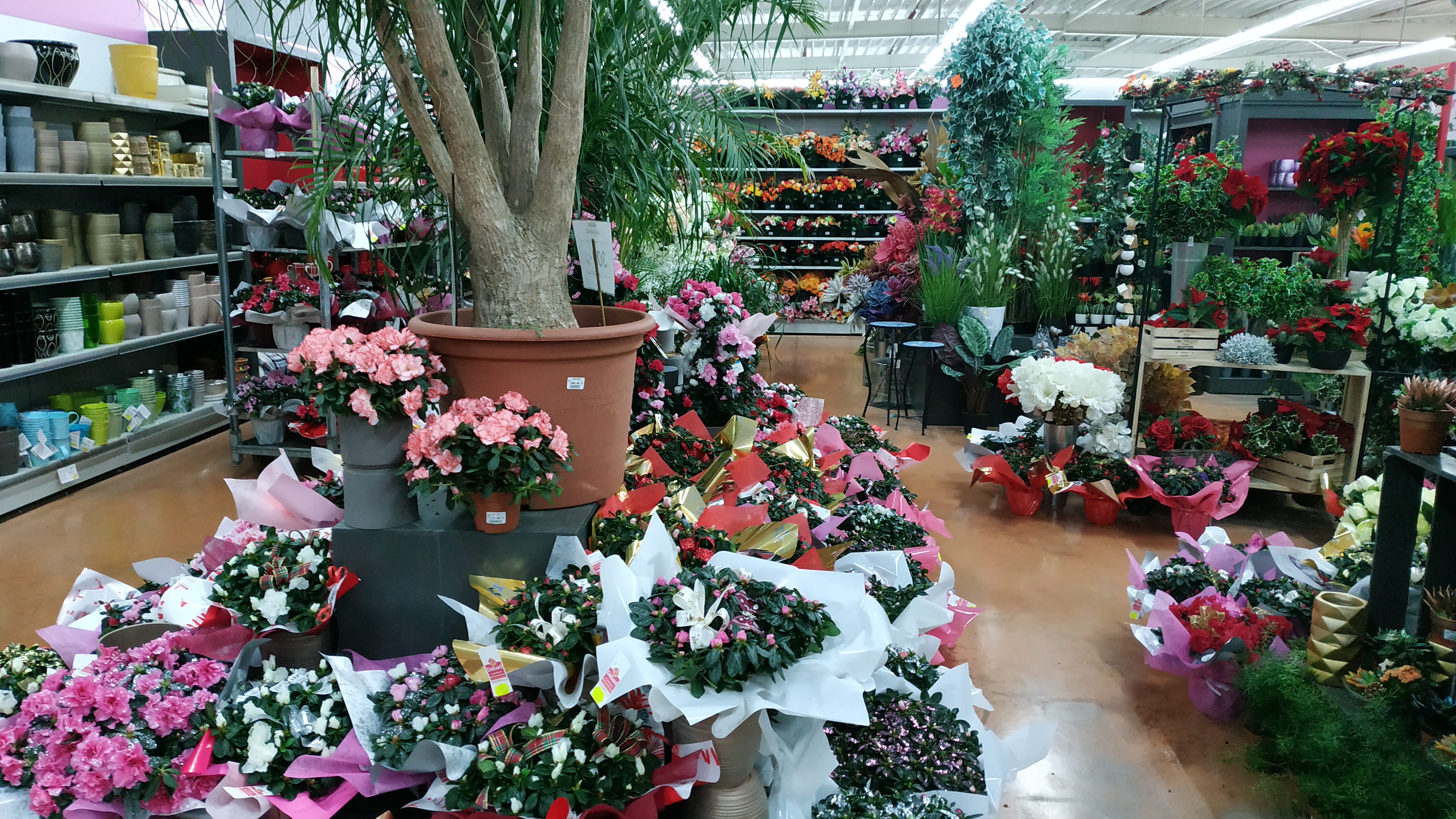 Photo n° 23 de l'avis de RISCHARD.u fait le 10/04/2019 à 11:40