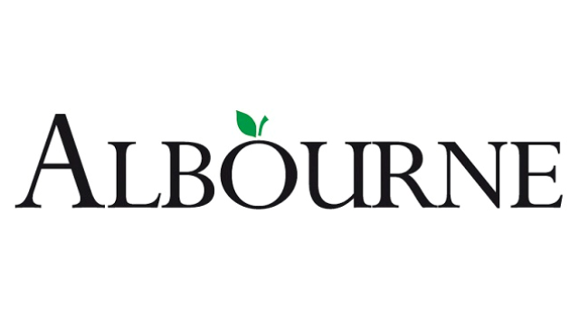 Albourne Partners, UK - Financial Consultant