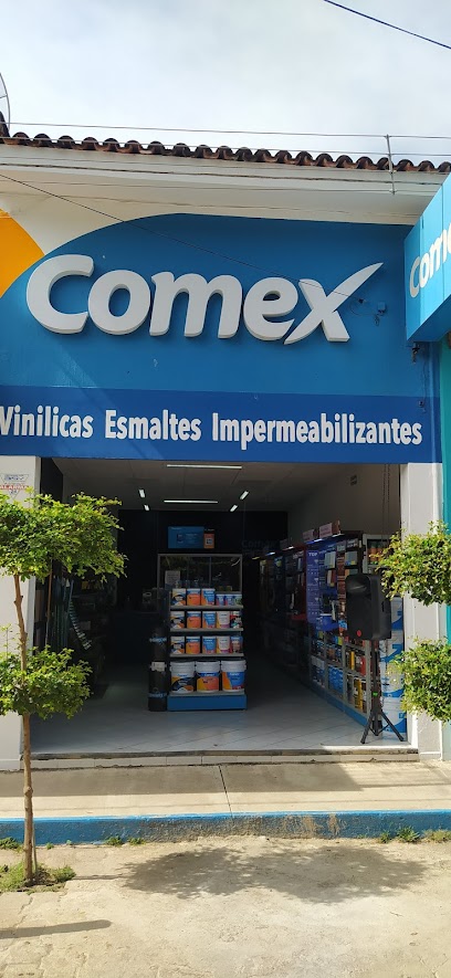 Tienda Comex - Álvaro Obregón 23, Centro, 48540 Tecolotlán, Jal.