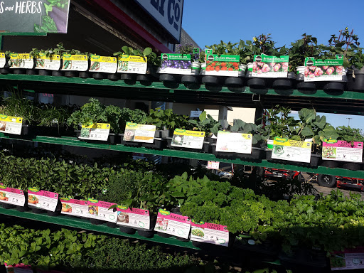 Home Improvement Store «Tractor Supply Co.», reviews and photos, 840 E Jefferson St, Tipton, IN 46072, USA