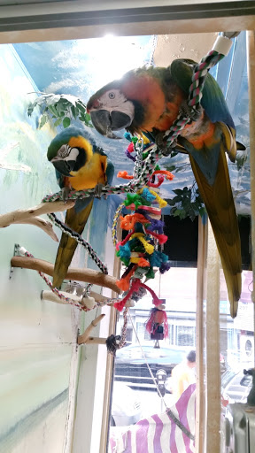 Tropical Fish Store «Caribbean Pets», reviews and photos, 298 Central Ave, Jersey City, NJ 07307, USA