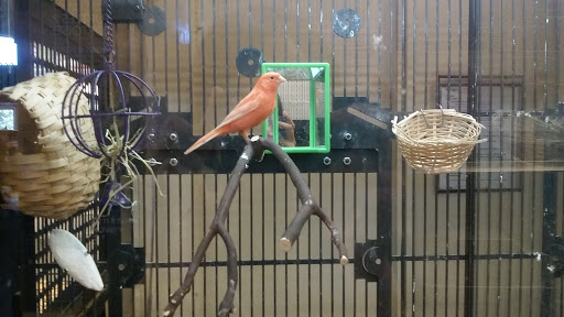 Pet Supply Store «PetSmart», reviews and photos, 830 Pelham Pkwy, Pelham, NY 10803, USA