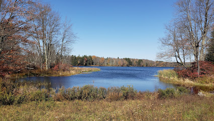 Brady's Lake