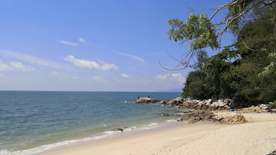 Tropical Beach