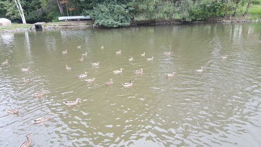 Winery «Fly Creek Cider Mill & Orchard», reviews and photos, 288 Goose St, Fly Creek, NY 13337, USA