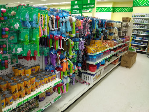 Dollar Store «Dollar Tree», reviews and photos, 5110 Pennell Rd, Media, PA 19063, USA