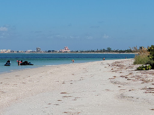 Shell Key Preserve