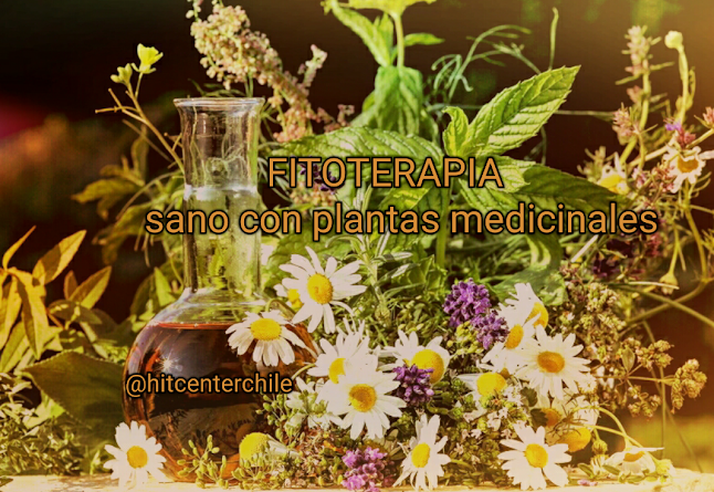 Opiniones de HIT CENTER Medicina Natural - Medicina Complementaria / Alternativa en Peñalolén - Centro naturista