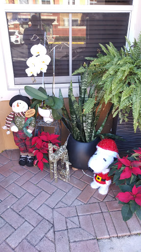 Park «Doral Meadow Park», reviews and photos, 11555 NW 58th St, Doral, FL 33178, USA