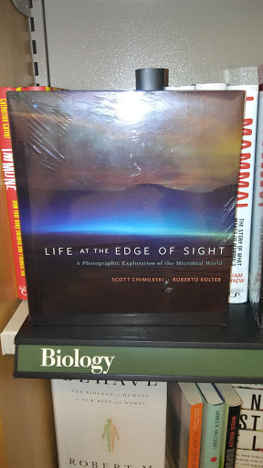 Book Store «Barnes & Noble bookstore», reviews and photos, 4005 N 10th St, McAllen, TX 78504, USA