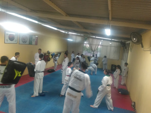 Praxis Taekwondo