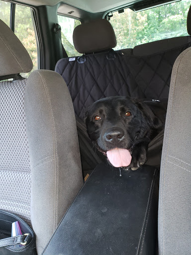 Pet Supply Store «Petco Animal Supplies», reviews and photos, 6720 Fox Centre Pkwy, Gloucester Courthouse, VA 23061, USA