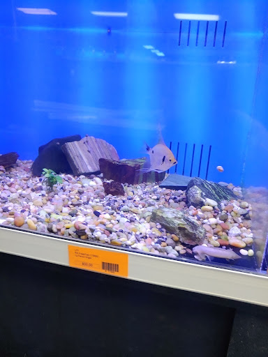 Tropical Fish Store «Richmond Aquarium», reviews and photos, 3645 Speeks Dr, Midlothian, VA 23112, USA