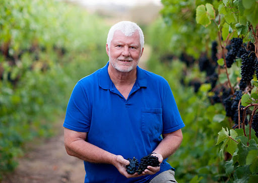 Vineyard «Keeler Estate Vineyard», reviews and photos, 5100 SE Rice Ln, Amity, OR 97101, USA