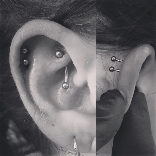 Explore small phoenix tattoo ideas, creative tattoo ideas in Palm Harbor, available at Angry Owl Tattoo and Piercing