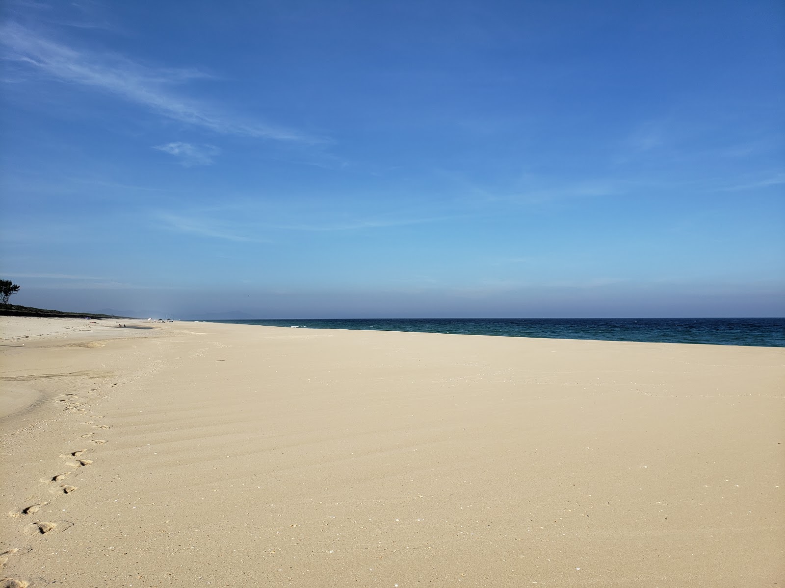 Foto av Marambaia Beach beläget i naturområde