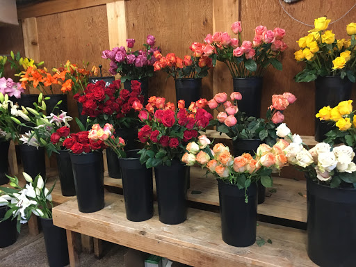 Plant Nursery «Sturtz & Copeland Florist & Greenhouses», reviews and photos, 2851 Valmont Rd, Boulder, CO 80301, USA