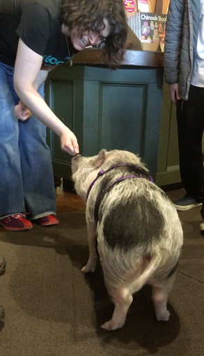 Pet Supply Store «Green Dog Pet Supply», reviews and photos, 4327 NE Fremont St, Portland, OR 97213, USA