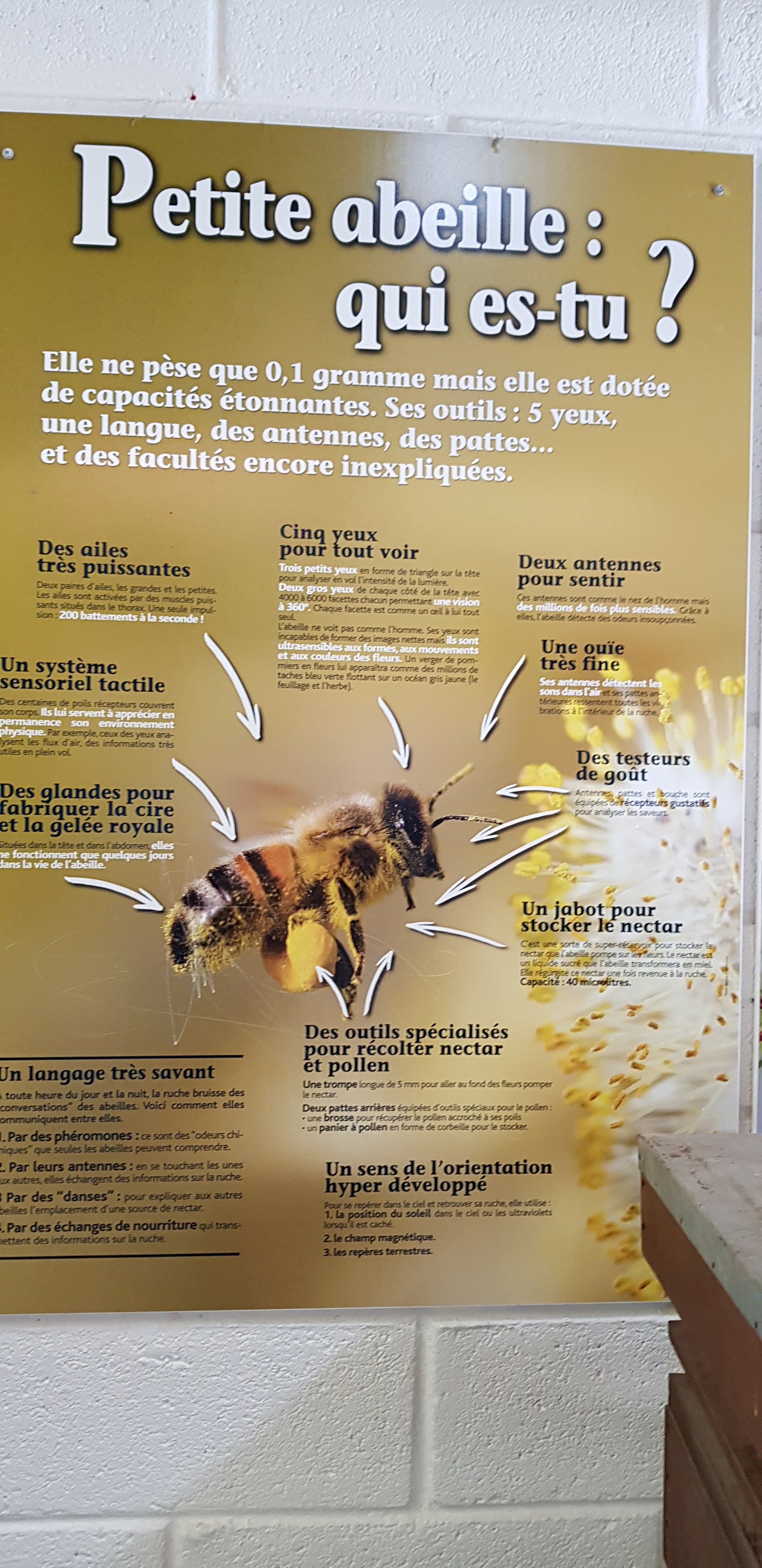 Photo n° 2 de l'avis de Alain.n fait le 31/07/2019 à 16:02