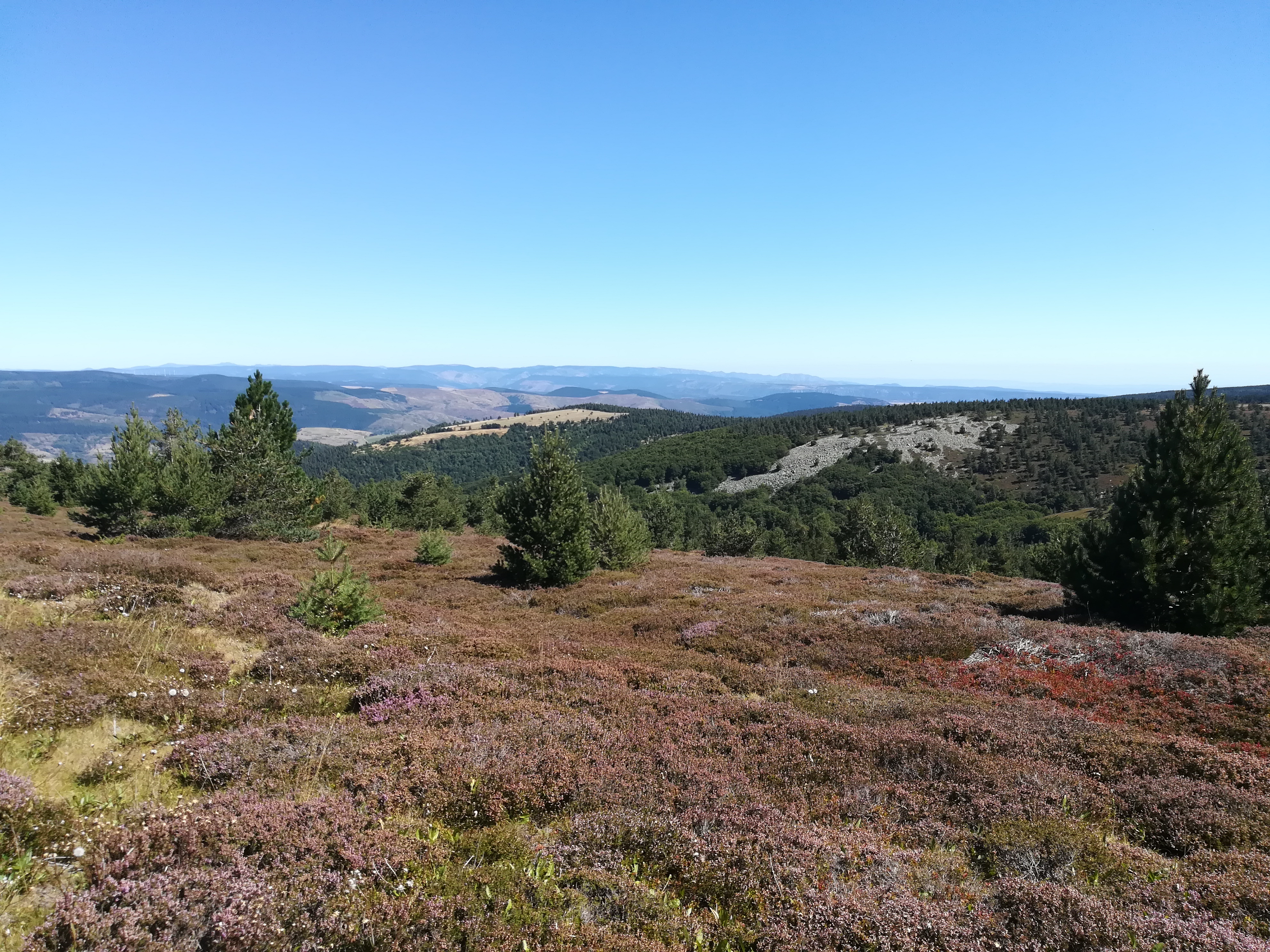 Photo n° 4 de l'avis de Jean-Marc.o fait le 09/09/2019 à 16:27