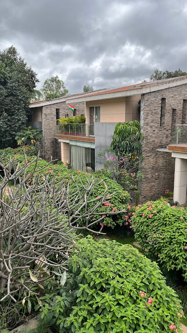 Google Maps image 10