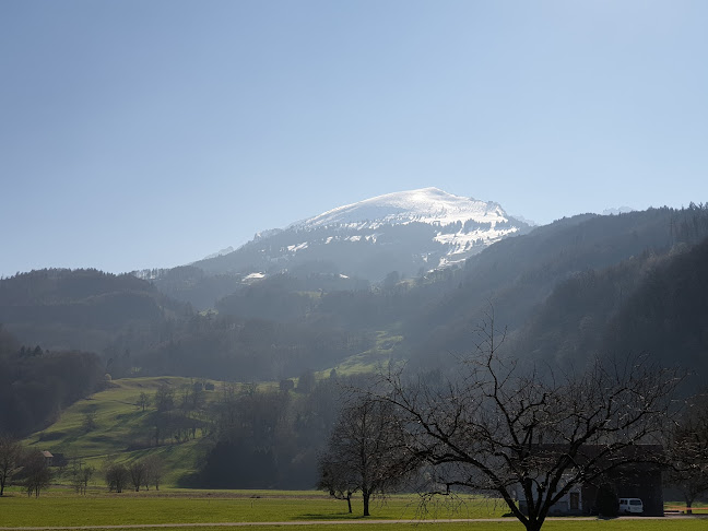 Rezensionen über F. Oberholzer in Buchs - Immobilienmakler