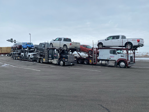 Professional Car Carriers (PCC)