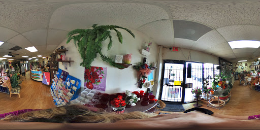 Florist «Treasured Orchids & Gifts», reviews and photos, 4917 E Colonial Dr, Orlando, FL 32805, USA
