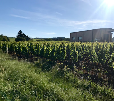 Domaine Maxime Cottenceau à Buxy