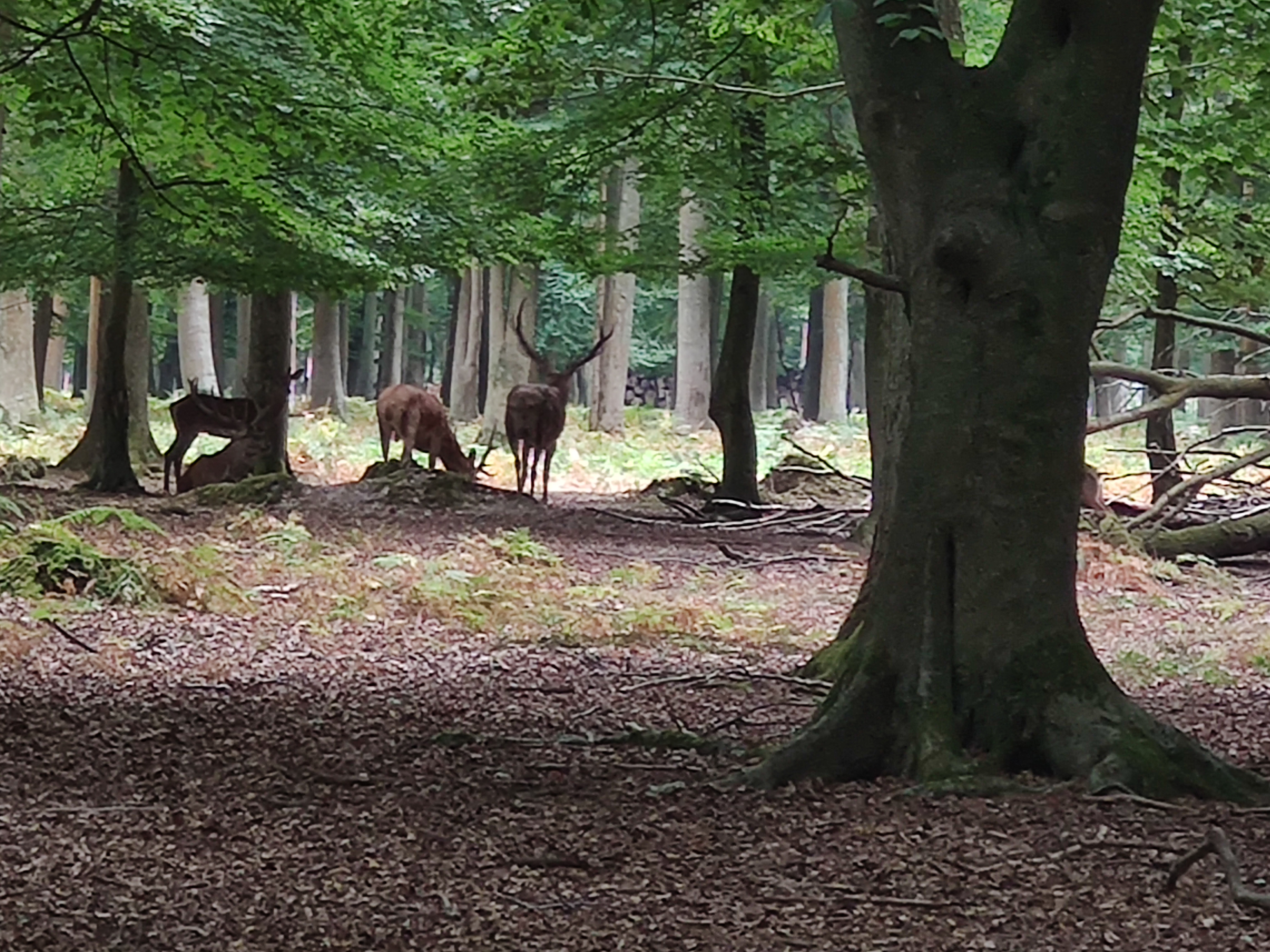 Photo n° 25 de l'avis de LAMBERT.r fait le 16/08/2022 à 19:17