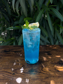 Melodic Mixes Luxury Mobile Bar