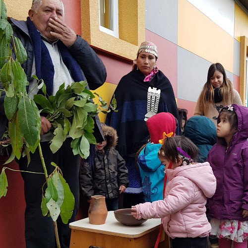 Opiniones de Jardín Infantil y Sala Cuna Mawün en Padre Las Casas - Escuela