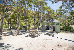 Photo de Bark Bay Beach situé dans une zone naturelle