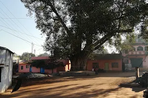 Peepal Gaach. image