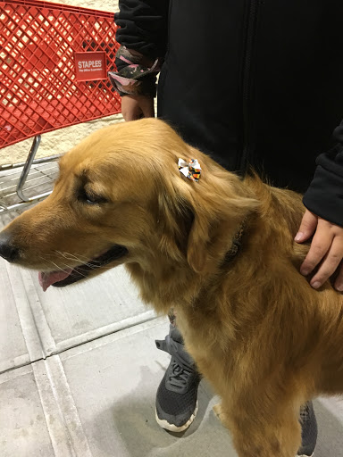 Pet Supply Store «PetSmart», reviews and photos, 67 Consumer Square, Plattsburgh, NY 12901, USA