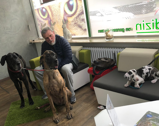 Tierarztpraxis Dr. (BG) Kanti Gysenbergvet unter Herne, Nordrhein-Westfalen