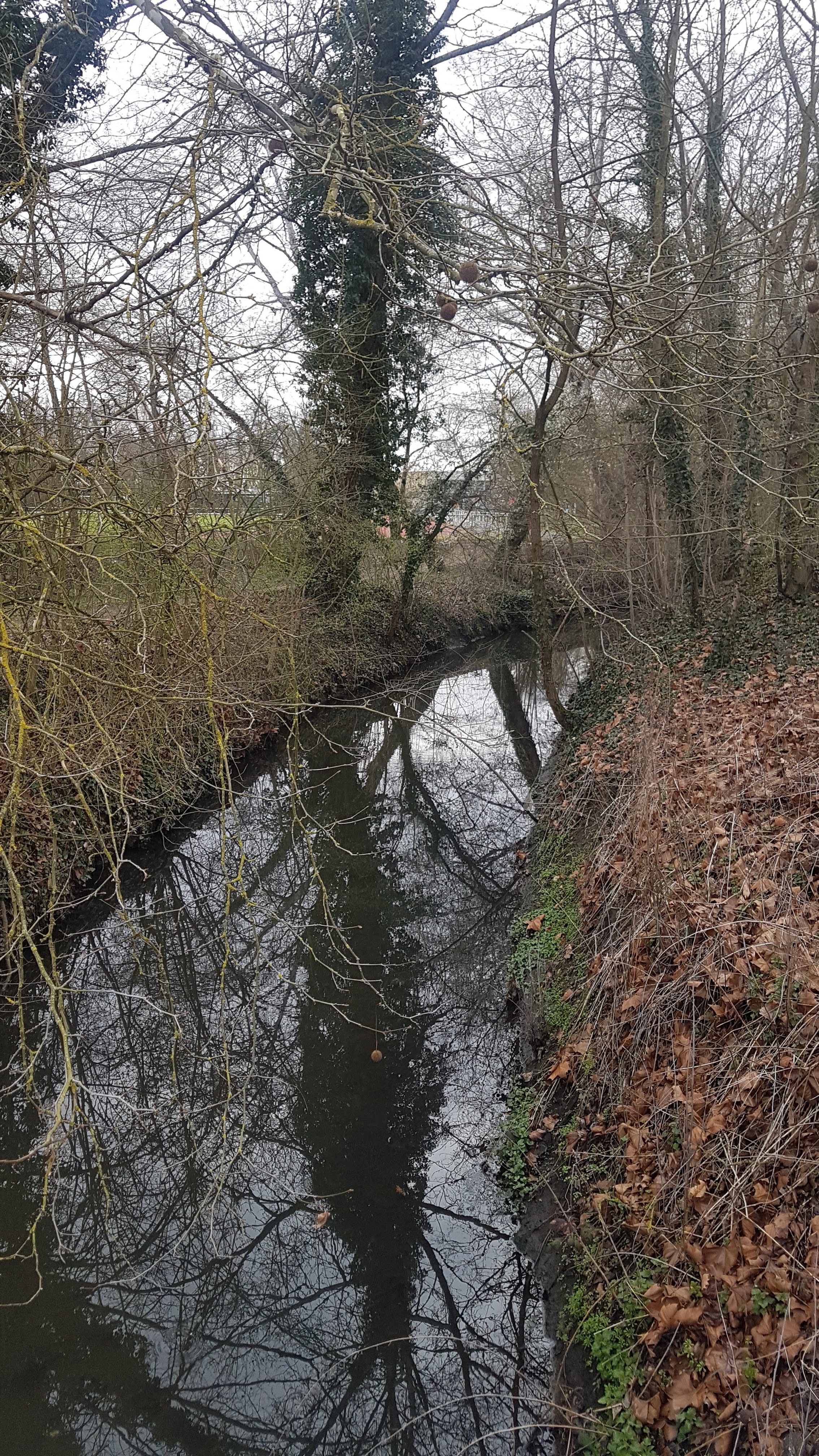 Photo n° 28 de l'avis de Jean-marie.o fait le 06/03/2019 à 12:51