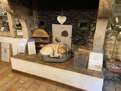 Ayme Truffe à Grignan
