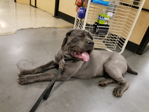 Pet Supply Store «PetSmart», reviews and photos, 4749 Valley View Blvd NW, Roanoke, VA 24012, USA