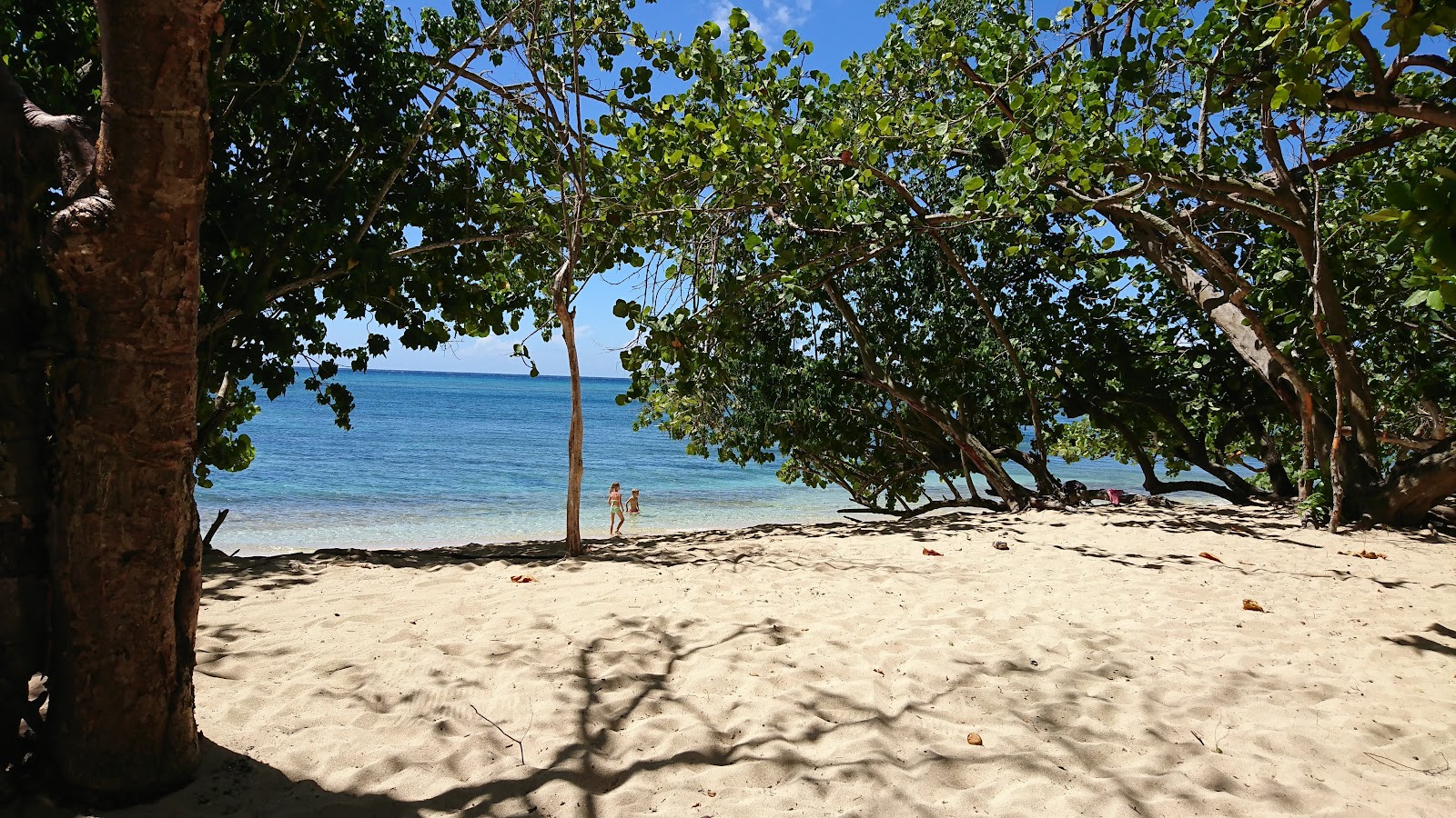 Photo de Playa de Los Muertos avec un rivage droit