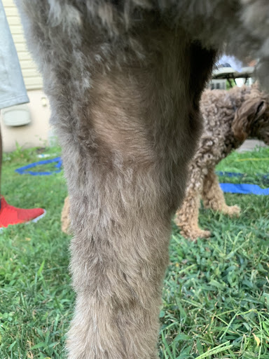 Pet Supply Store «Petco Animal Supplies», reviews and photos, 1333 Centennial Ave, Piscataway Township, NJ 08854, USA