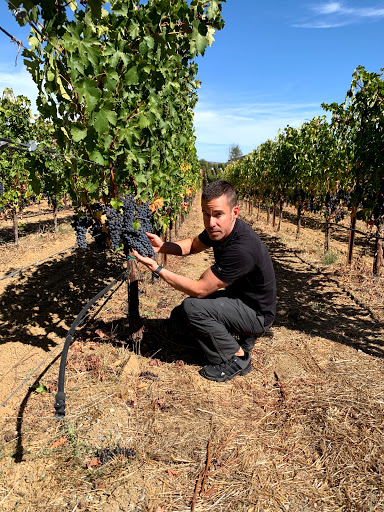 Winery «The Nice Winery», reviews and photos, 2901 West Sam Houston Pkwy N C-260, Houston, TX 77043, USA