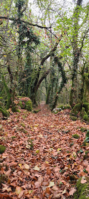 Amagney point culminant à Amagney