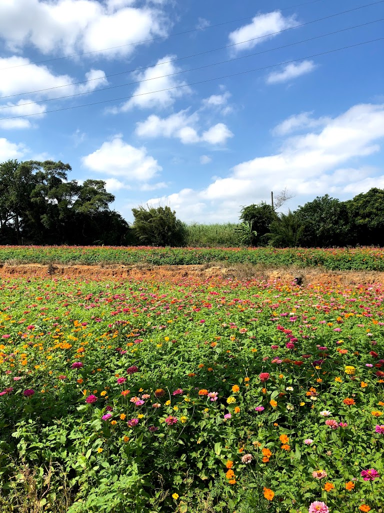 鮮覺茶店 的照片