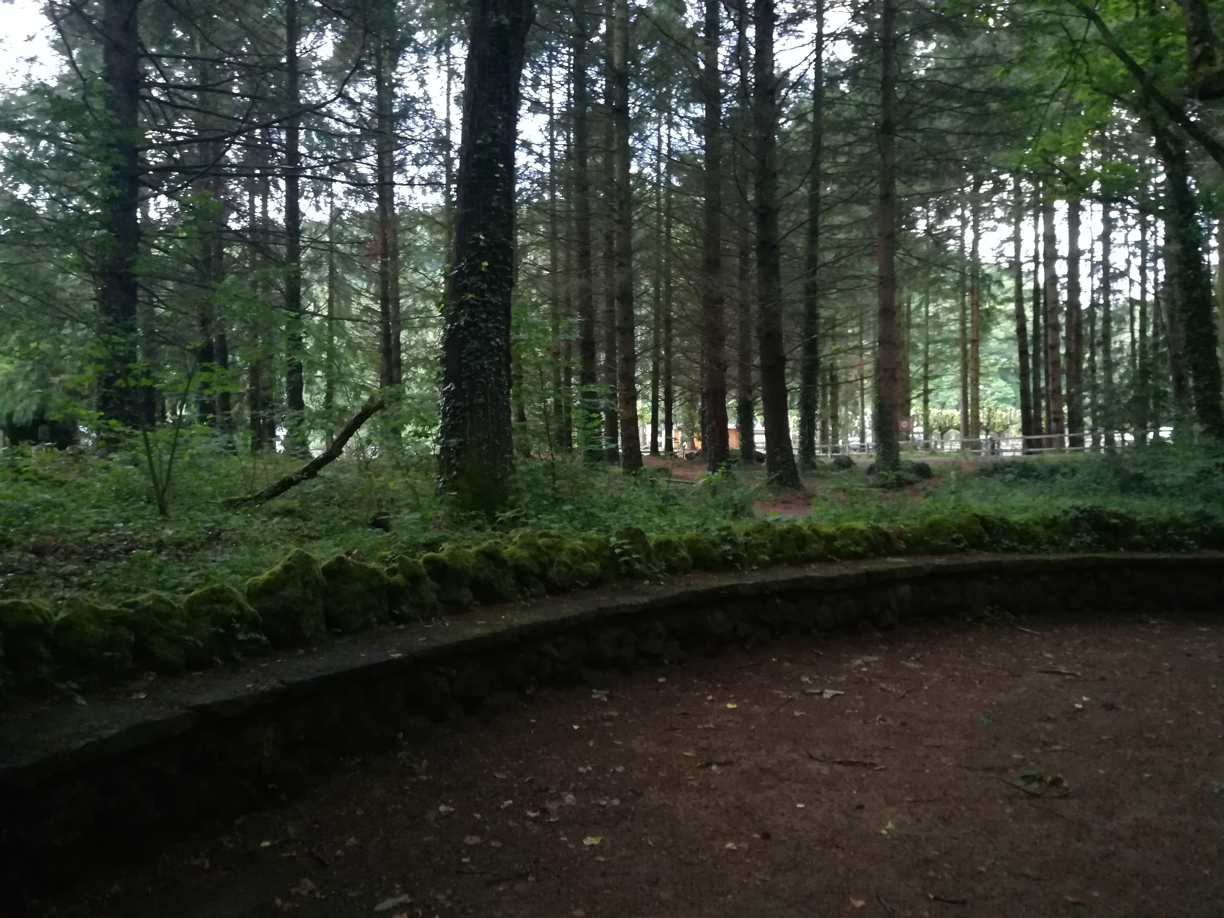 Photo n° 2 de l'avis de Nathalie.e fait le 17/06/2019 à 19:40